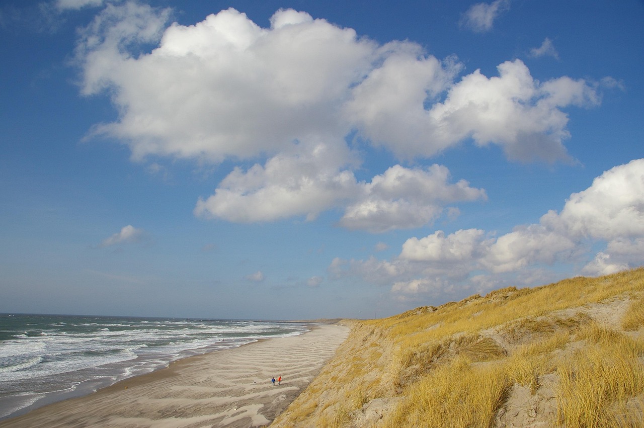 Auswandern nach Dänemark